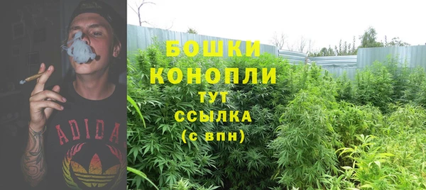 mdpv Козельск
