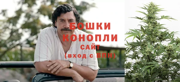 стафф Коряжма