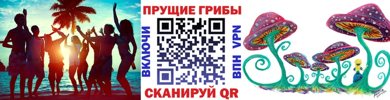 Галлюциногенные грибы Cubensis ссылка на мегу ТОР Мосальск наркота
